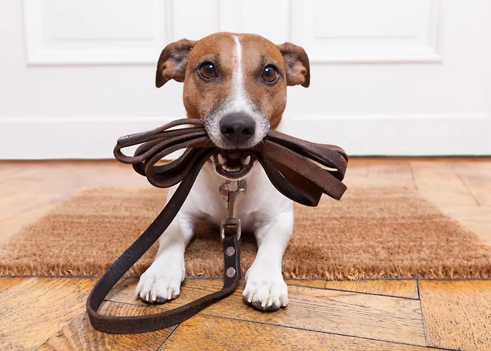 Holiday home Ennshaeusl By Schladming-appartements Schladming